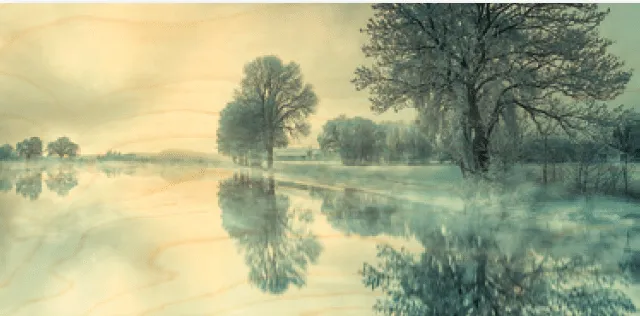 hironwoods-paysage-gel-carte-bois-panoramique-100x200mm image 1