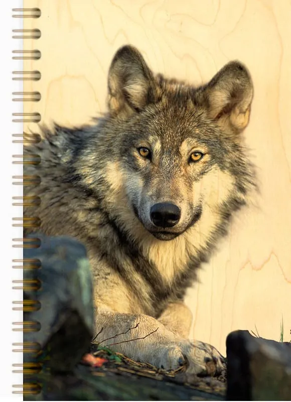 hironwoods-carnet-couverture-bois-loup-146x94mm-carnet-bois image 1