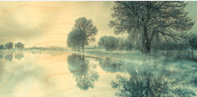 hironwoods-paysage-gel-carte-bois-panoramique-100x200mm image 1