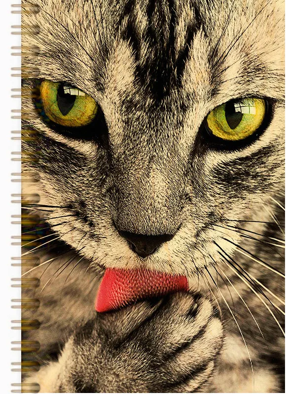 hironwoods-chat-langue-carnet-bois-146x94mm image 1
