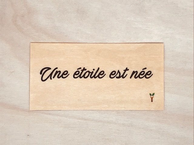 hylarion-cartes-carte-bois-10x5-cm-une-toile-est-n-e image 1