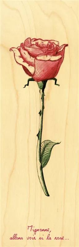hironwoods-marque-pages-marque-page-bois-rose image 1