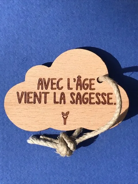 hylarion-porte-cl-s-porte-cl-bois-sagesse-6x4-cm image 1