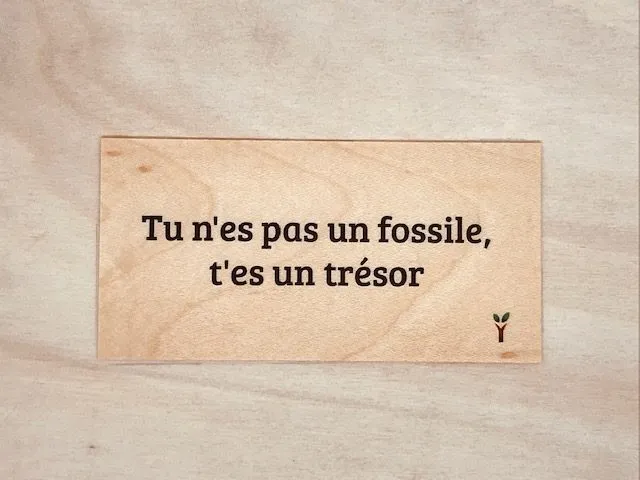 hylarion-cartes-carte-bois-tr-sor-bois-massif image 1