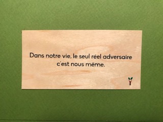 hylarion-cartes-carte-bois-seul-r-el-adversaire-c-est-nous image 1