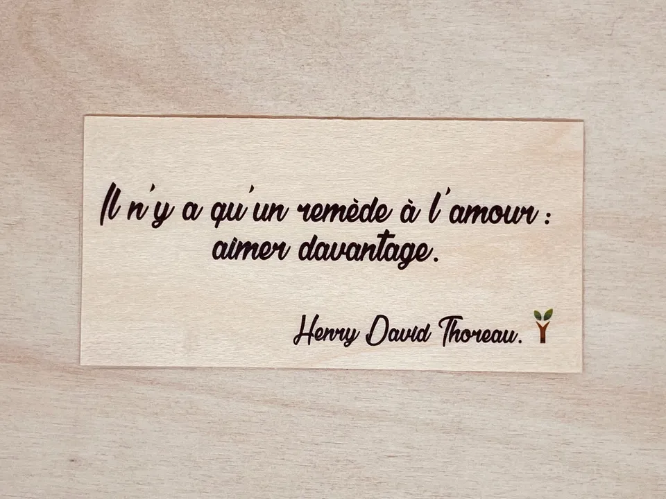 hylarion-cartes-il-n-y-a-qu-un-rem-de-l-amour-carte-bois image 1