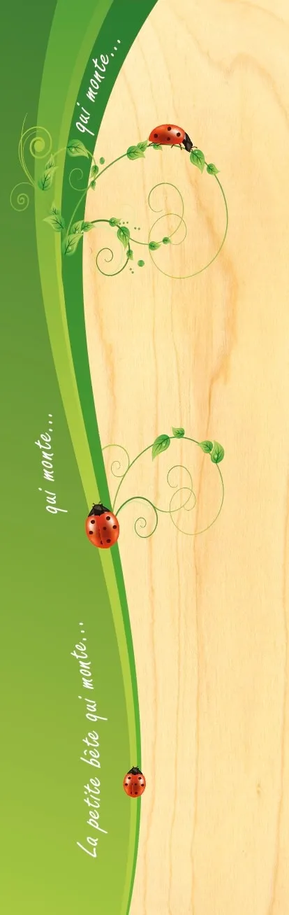 hironwoods-coccinelle-marque-page-bois-insecte image 1