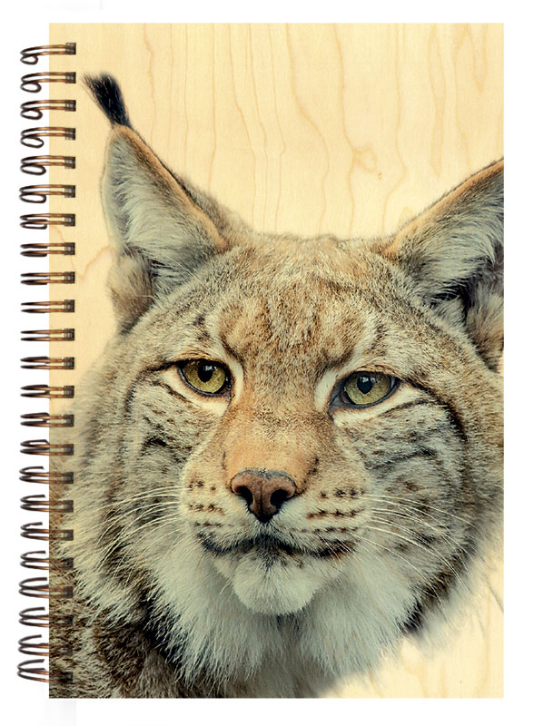 hironwoods-lynx-portrait-carnet-bois-146x94mm-jura image 1
