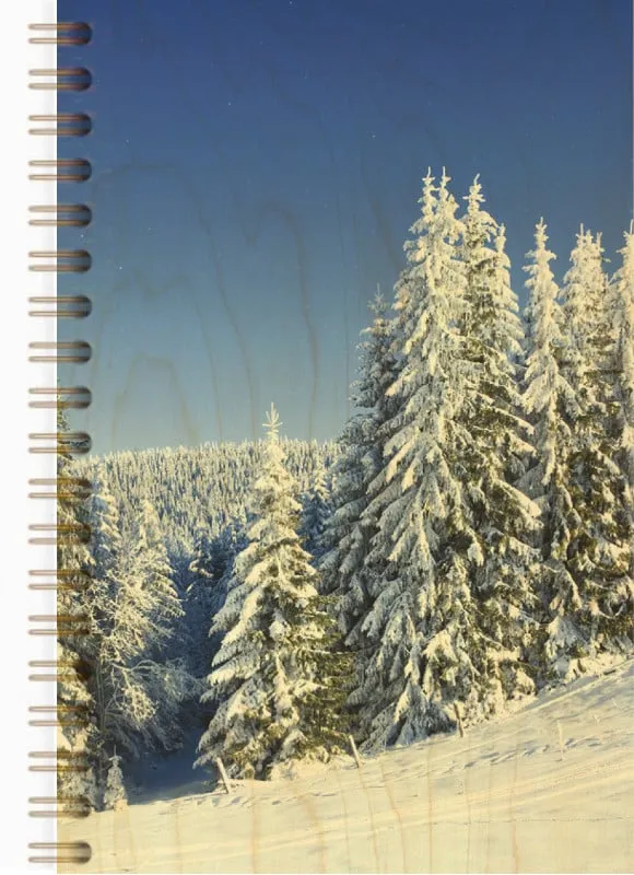 hironwoods-carnets-sapins-enneig-s-carnet-bois-146x94mm image 1