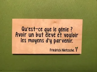 hylarion-cartes-qu-est-ce-que-le-g-nie-carte-bois-citation image 1