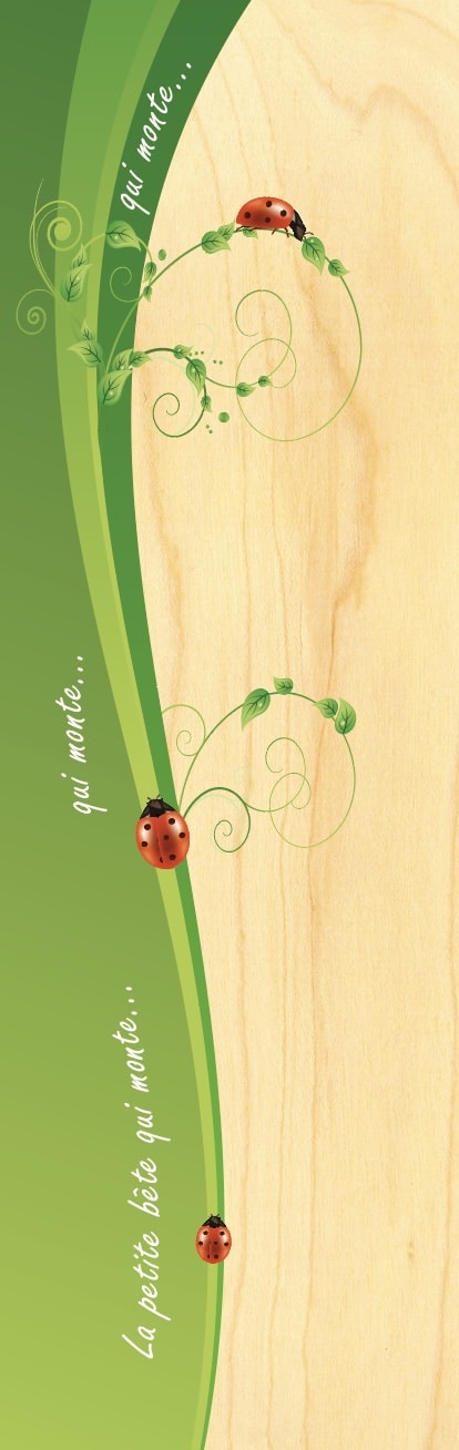 hironwoods-coccinelle-marque-page-bois-insecte image 1