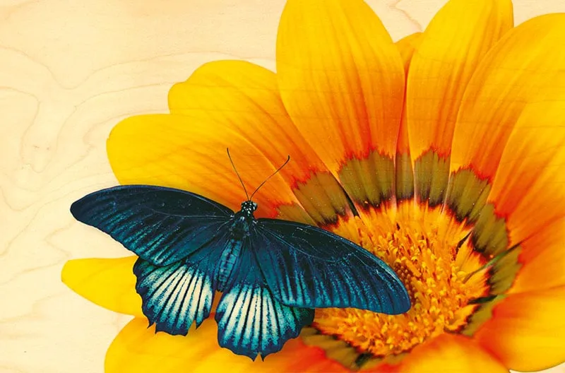 hironwoods-carte-papillon-fleur-carte-postale-bois-100x150 image 1
