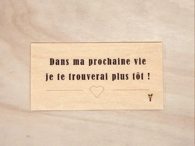 hylarion-cartes-dans-ma-prochaine-vie-carte-bois-10x5-cm image 1