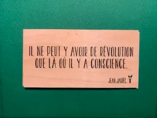 hylarion-cartes-r-volution-conscience-carte-bois-10-5-cm image 1