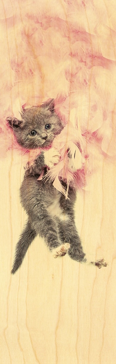 hironwoods-marque-page-bois-chaton-boa-animaux image 1