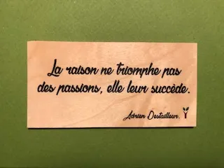 hylarion-cartes-la-raison-carte-bois-philosophie image 1