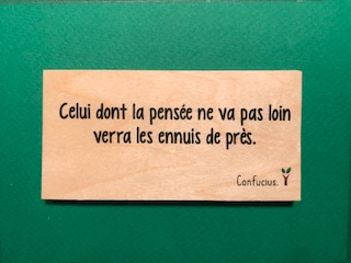 hylarion-cartes-celui-dont-la-pens-e-carte-bois-10x5-cm image 1