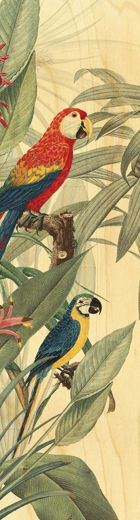hironwoods-marque-pages-perroquets-marque-page-bois-oiseaux image 1