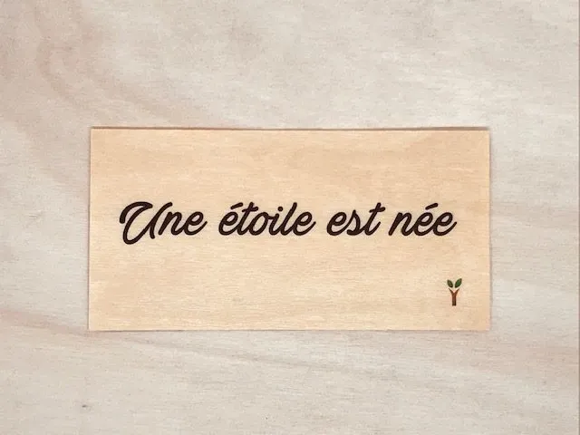 hylarion-cartes-carte-bois-10x5-cm-une-toile-est-n-e image 1
