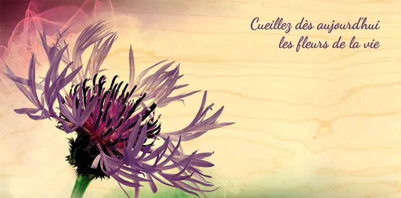hironwoods-bleuet-carte-bois-panoramique-100x200mm image 1