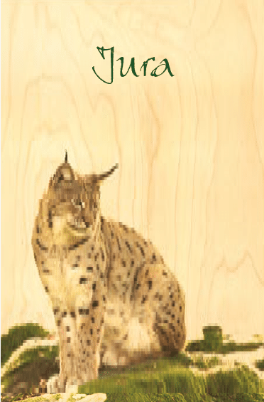 hironwoods-carnets-couverture-bois-lynx-jura-carnet-146x94mm image 1