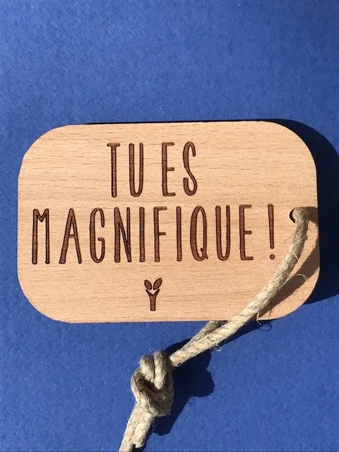 hylarion-porte-cl-s-tu-es-magnifique-porte-cl-bois-6x4-cm image 1