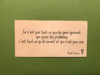 hylarion-cartes-ce-n-est-pas-tant-ce-que-les-gens-ignorent-carte-bois image 1