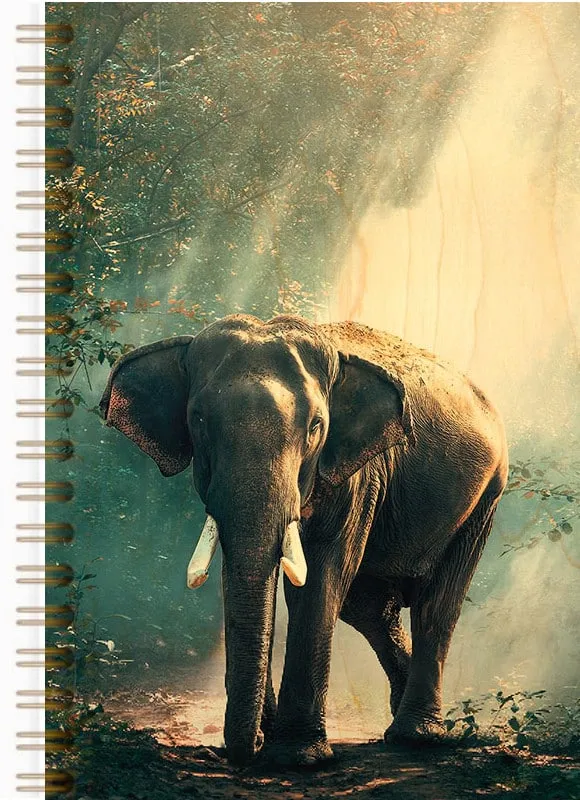 hironwoods-el-phant-carnet-couverture-bois-146x94mm image 1