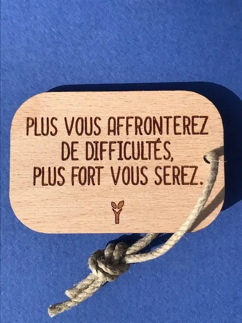 hylarion-porte-cl-s-porte-cl-bois-difficult-s-6x4-cm image 1