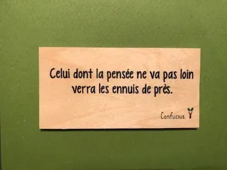 hylarion-cartes-celui-dont-la-pens-e-ne-va-pas-loin-carte-bois image 1