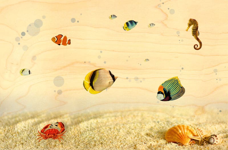 hironwoods-carte-postale-bois-poissons-fonds-marins-100x150mm image 1