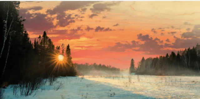 hironwoods-carte-bois-panoramique-soleil-hiver-100x200mm image 1