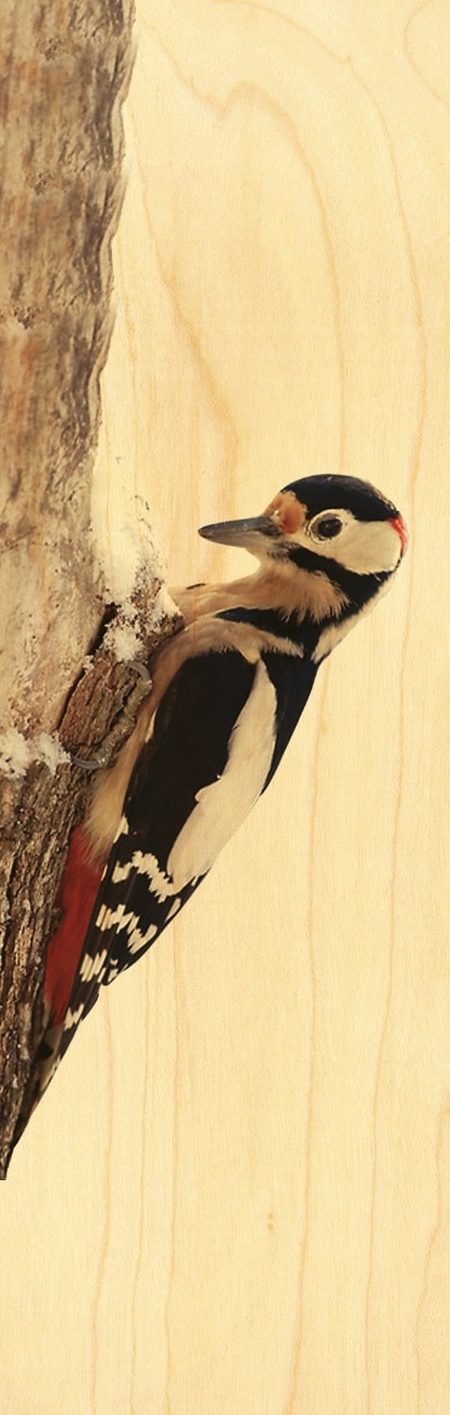 hironwoods-marque-pages-signet-bois-oiseau-pic image 1
