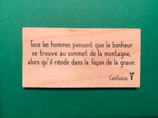 hylarion-cartes-carte-bois-bonheur-se-trouve-10x5-cm-massif image 1