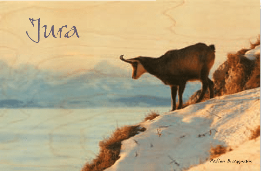 hironwoods-cartes-postales-en-bois-chamois-jura-carte-100x150mm image 1