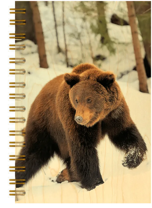 hironwoods-carnet-couverture-bois-ours-146x94mm image 1