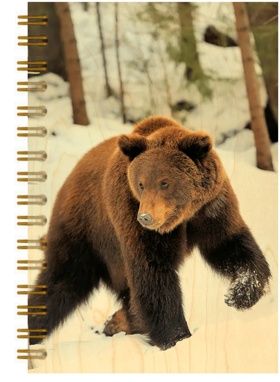 hironwoods-carnet-couverture-bois-ours-146x94mm image 1