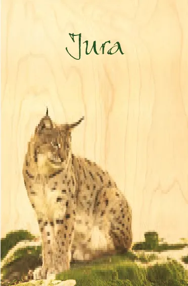hironwoods-carnets-couverture-bois-lynx-jura-carnet-146x94mm image 1