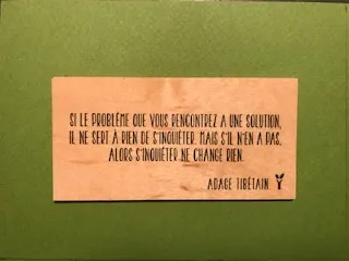 hylarion-cartes-si-le-probl-me-carte-en-bois-solution image 1