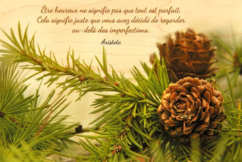 hironwoods-carte-bois-citation-pomme-de-pin-100x150mm image 1