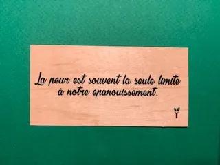 hylarion-cartes-la-peur-est-souvent-carte-bois-10-5-cm image 1
