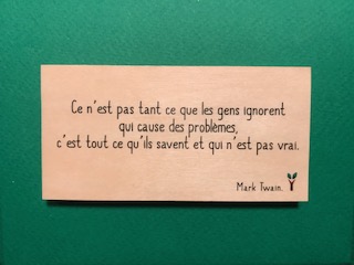 hylarion-cartes-gens-ignorent-probl-mes-carte-bois-10x5-cm image 1