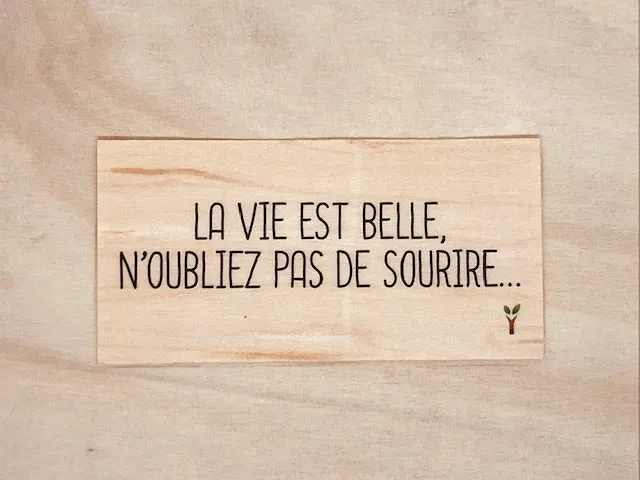hylarion-cartes-la-vie-est-belle-carte-bois-sourire image 1
