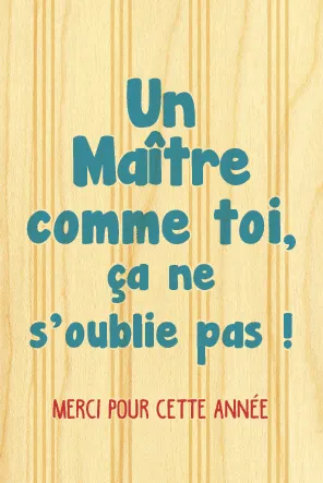 hironwoods-vacances-ma-tre-magnet-bois-ma-tresse image 1