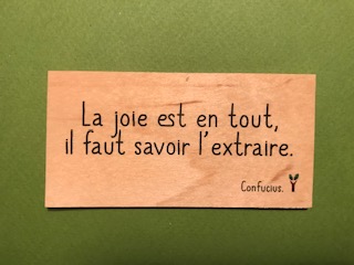hylarion-cartes-la-joie-est-en-tout-carte-en-bois-citation image 1