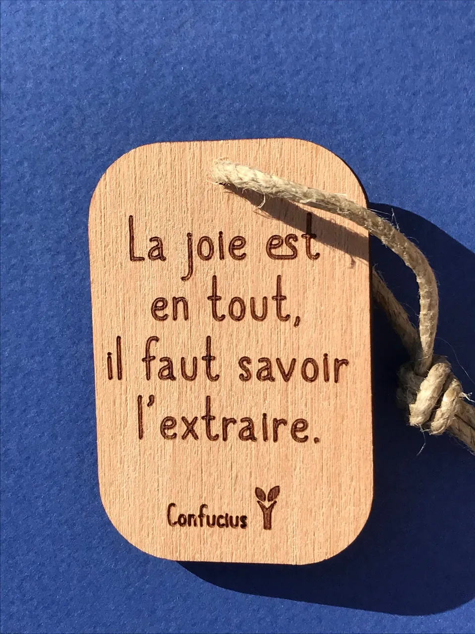 hylarion-porte-cl-s-la-joie-est-en-tout-porte-cl-s-bois-6x4-cm image 1