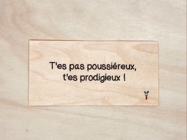 hylarion-cartes-carte-en-bois-t-es-pas-poussiereux-t-es-prodigieux image 1