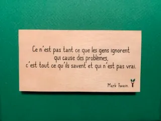 hylarion-cartes-gens-ignorent-probl-mes-carte-bois-10x5-cm image 1