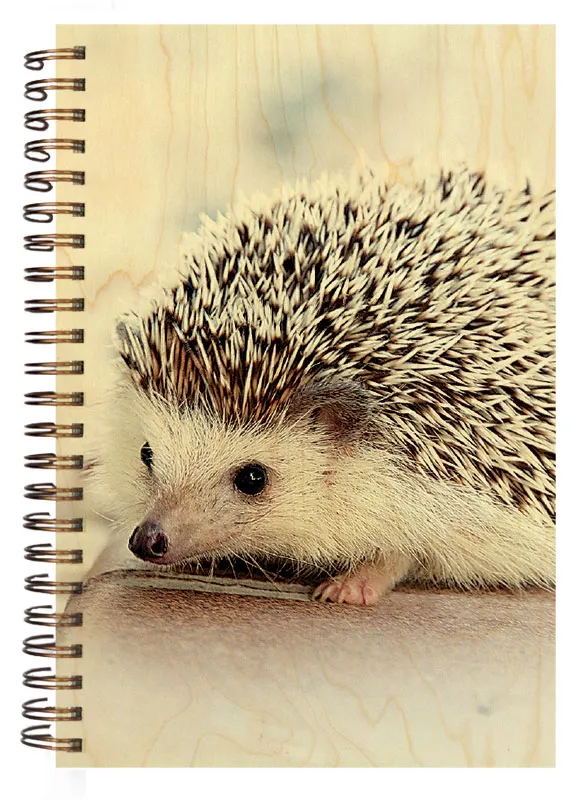 hironwoods-carnets-couverture-bois-carnet-h-risson-jura-146x94mm image 1