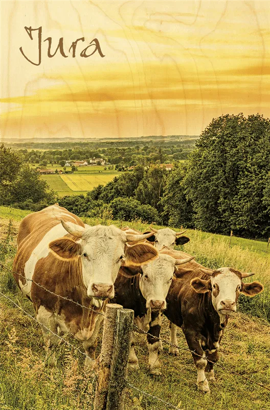 hironwoods-carte-postale-bois-vache-soleil-couchant-jura image 1